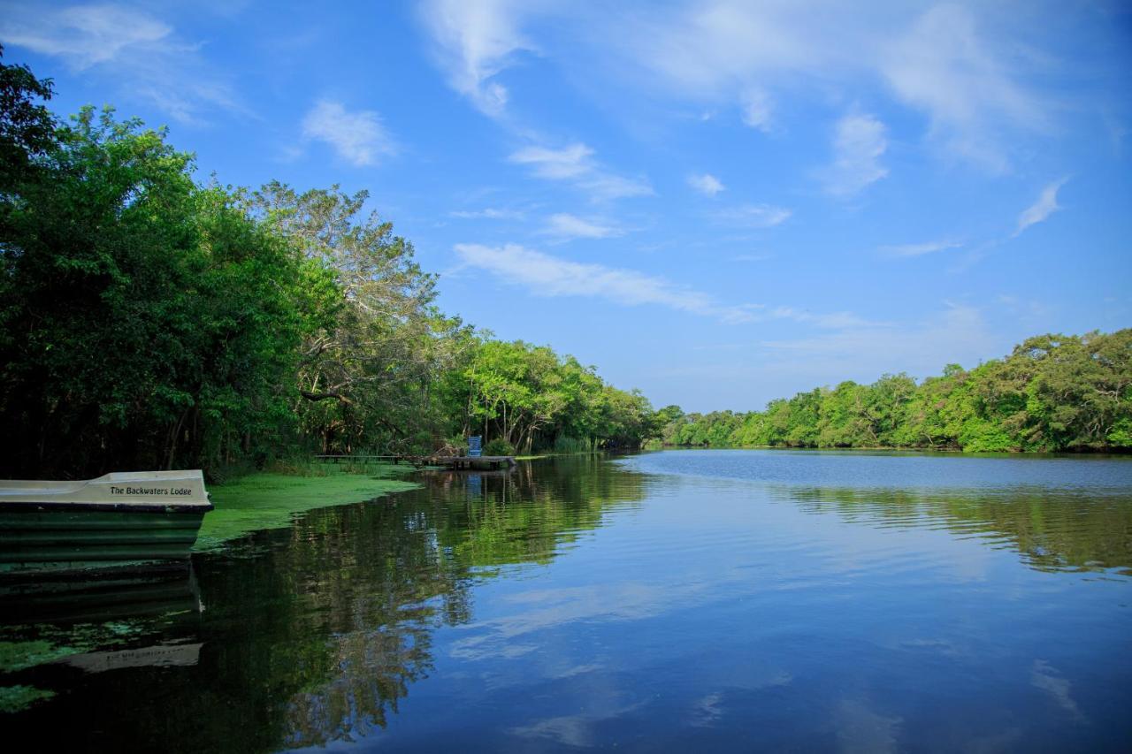 The Backwaters Lodge Wilpattu Exterior foto