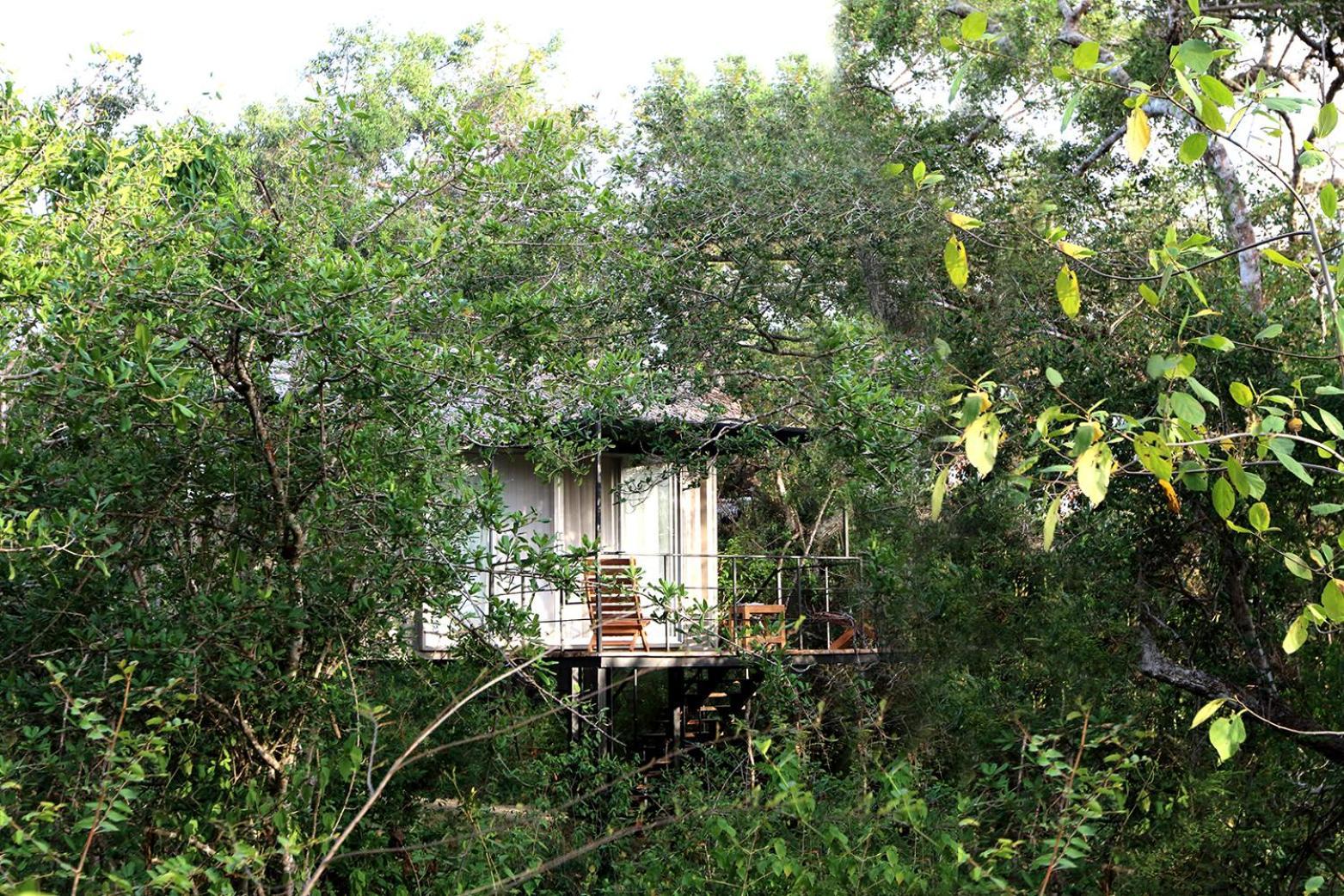 The Backwaters Lodge Wilpattu Exterior foto