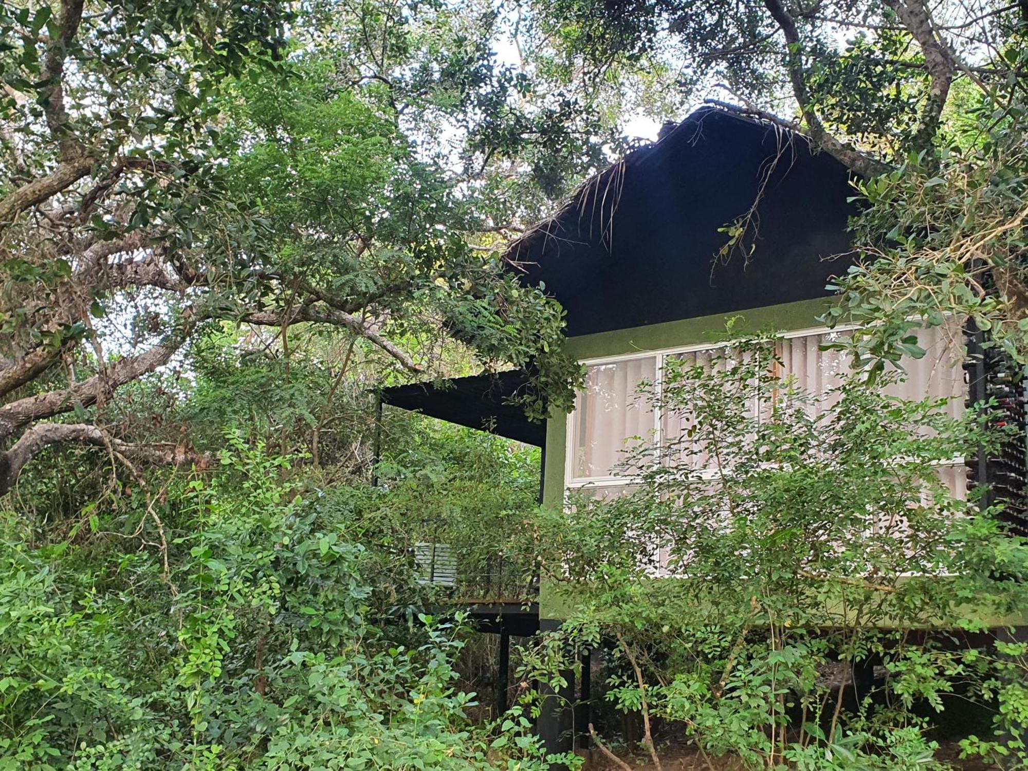 The Backwaters Lodge Wilpattu Exterior foto