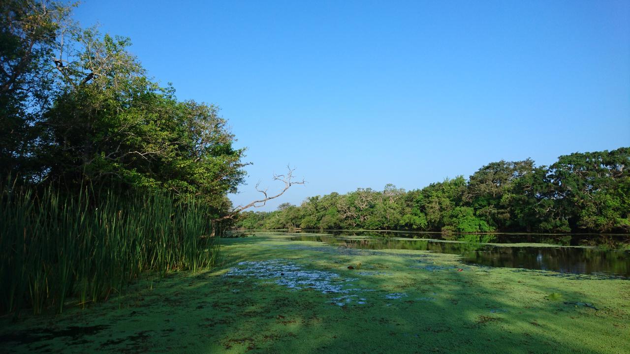The Backwaters Lodge Wilpattu Exterior foto