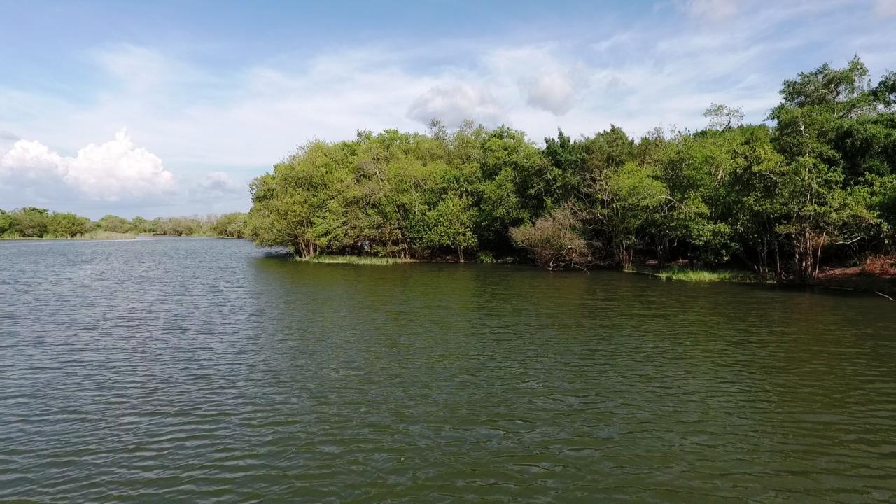 The Backwaters Lodge Wilpattu Exterior foto