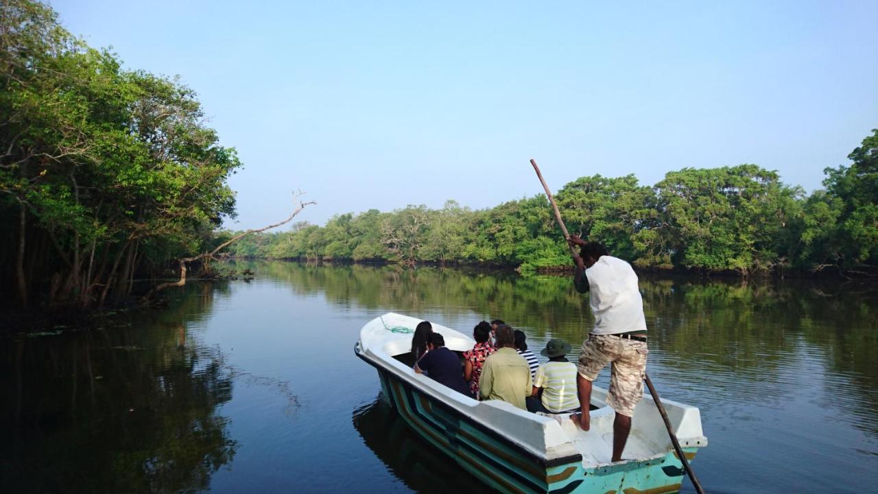 The Backwaters Lodge Wilpattu Exterior foto